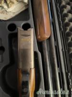 Rizzini Vertex 12