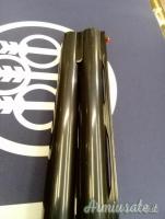 Rizzini Emilio Sovrapposto  12