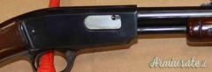 Carabina Pompa Winchester 61 22 Magnum