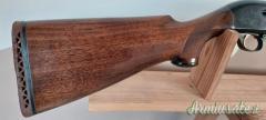 Beretta A-M-301  12