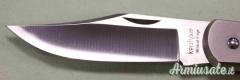 AFFARE  Coltello kershaw Wildcat Ridge