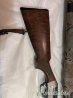Benelli Raffaello  12