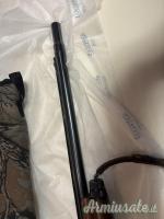 Benelli Raffaello  12