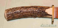 Coltello da Caccia Maestro Annibale