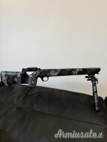 Blaser R8 ...Altro