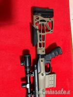 Remington 700 .308 Winchester