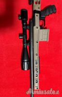 Remington 700 .308 Winchester
