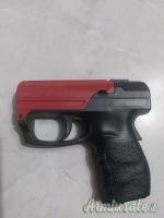 Walther pdp-pgs