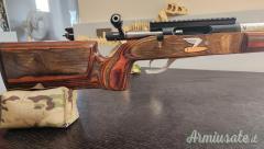 Dolphin FClass .308 Winchester MATCH