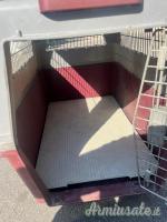 TRASPORTINO FERPLAST