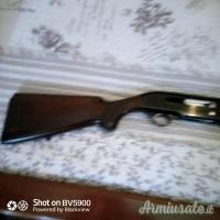 Beretta a301