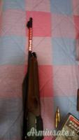 Benelli Endurance  .308 Winchester