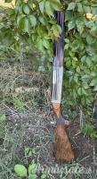 Cosmi Extralusso 12