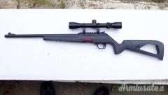 Winchester wildcat .22 Long Rifle
