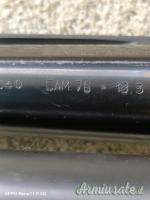 Benelli raffaello 12