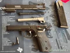 CZ SP01 Shadow — 9×21 — Ottime condizioni e migliorata con mire regolabili