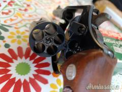 Charter Bulldog .44 Special
