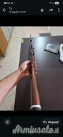 ATA ARMS Slug 20 ATA ARMS Slug 20