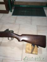 Springfield 1922-m2 .22 Long Rifle Springfield 1922-m2 .22 Long Rifle