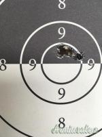 Springfield 1922-m2 .22 Long Rifle Springfield 1922-m2 .22 Long Rifle
