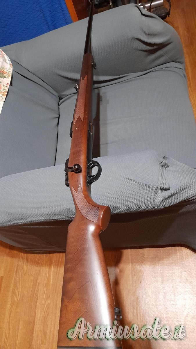 Carabina sabatti Carabina sabatti