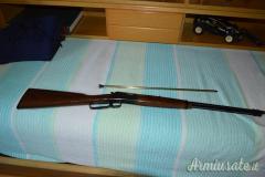 Browning BL22 . 22 Long Rifle Browning BL22 . 22 Long Rifle