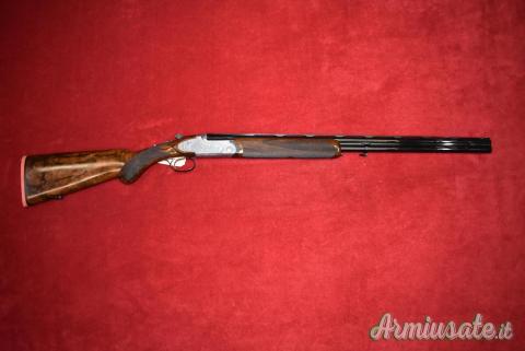 Rizzini Artemis 20