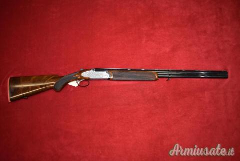 Rizzini Artemis S.A.  28