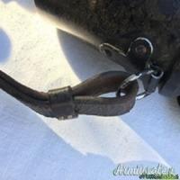 WWII Binocolo WAFFEN SS completo di custodia e accessori WWII Binocolo WAFFEN SS completo di custodia e accessori