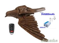 Giostra per Allodole o Cesene