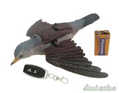 Giostra per Allodole o Cesene