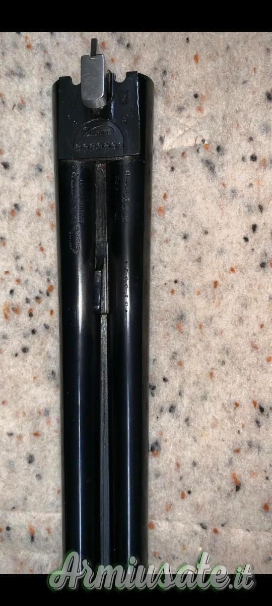 ...Altro | Non elencato DARNE 12 ...Altro | Non elencato DARNE 12