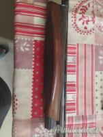 Benelli Power bore  12 Benelli Power bore  12