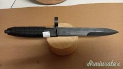 Originale ex ordinanza