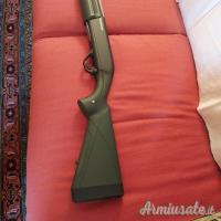 Winchester SX4  12