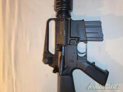 Bushmaster AR15 .223 Remington