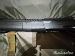 ...Altro | Non elencato Lion  12