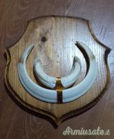 Scudetti porta trofeo in lego.