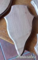 Scudetti porta trofeo in lego.