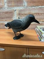 Attrezzatura Cornacchie