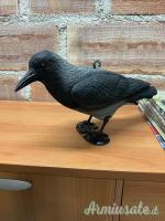 Attrezzatura Cornacchie