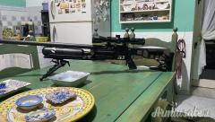 Accuracy Epic two 5.5