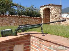 Sako TRG 22 .308 Winchester