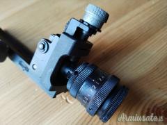 Diottra completa Anschutz