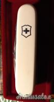 CEDO coltello da tasca VICTORINOX