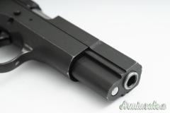 Tanfoglio t95 9x21mm IMI