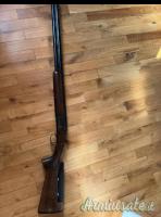 Renato Gamba Daytona 12