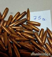 Palle miste cal. 308