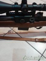 Springfield M1a .308 Winchester