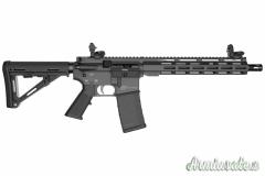 ASTRA ARMS VG4 BRUTALE 12″ 223rem